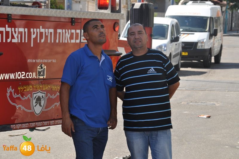 cat lud 910 (14).JPG